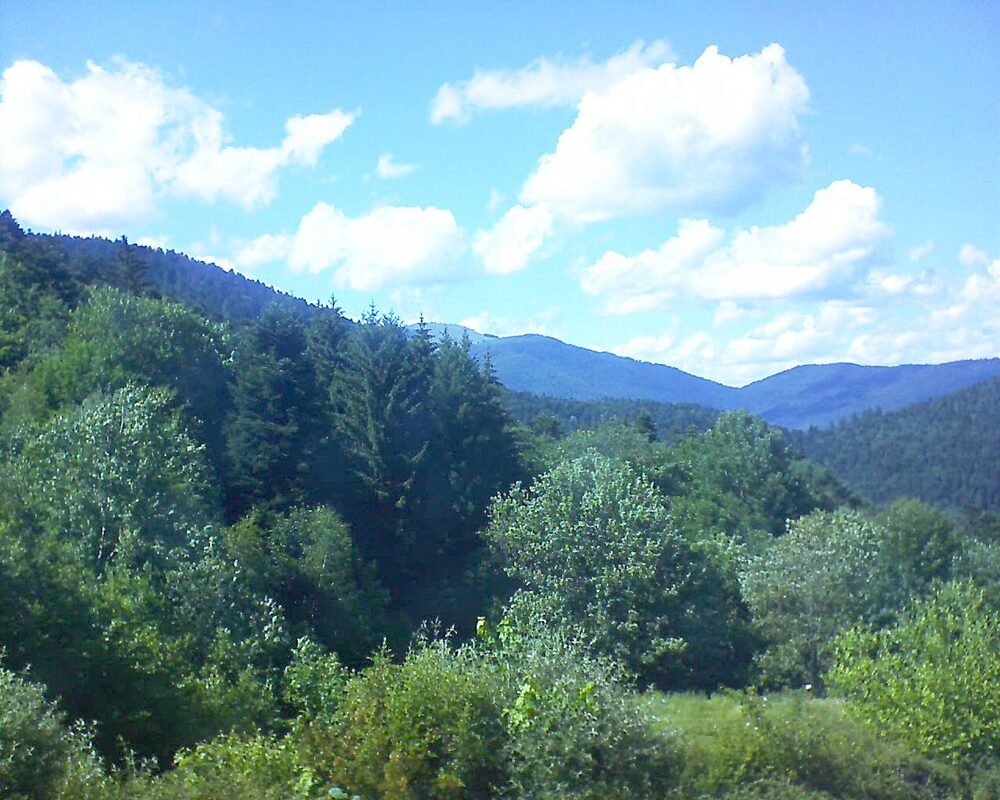 Le petit ballon (Alsace, Vosges) le 13.06.2026 à 19:00