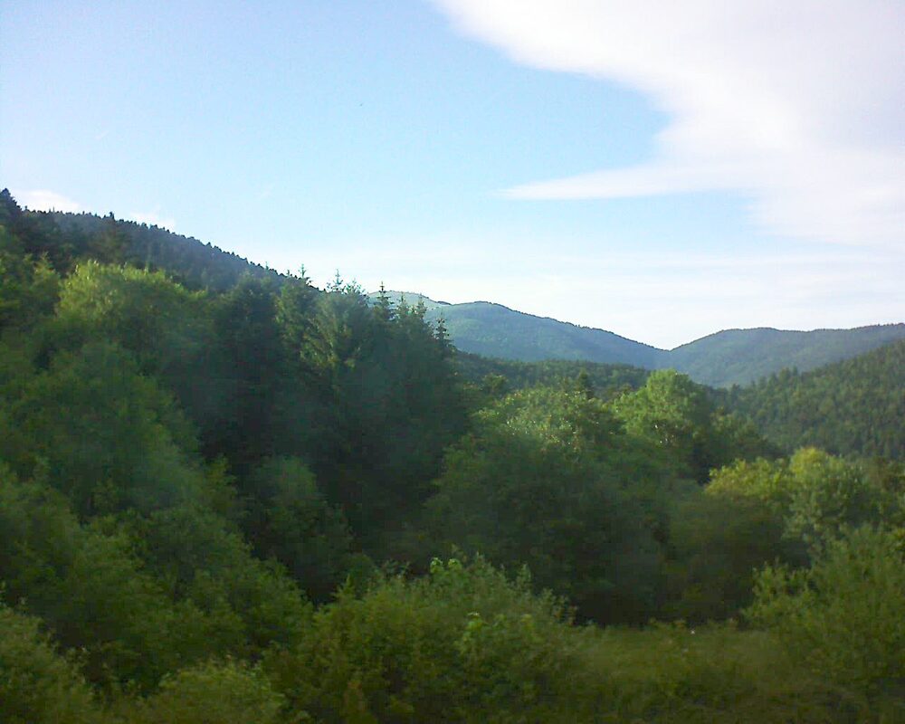 Le petit ballon vu depuis le Domaine Langmatt à Murbach le 14.06.2026 à 19:00 Le petit ballon (Alsace, Vosges) le 14.06.2026 à 19:00