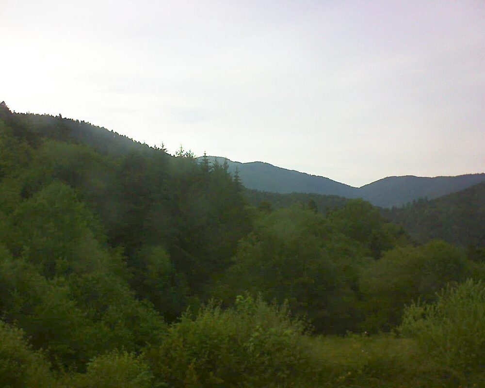 Le petit ballon (Alsace, Vosges) le 19.06.2026 à 19:00