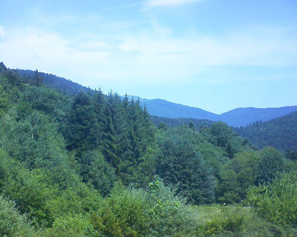 Le petit ballon (Alsace, Vosges) le 21.06.2026 à 12:30