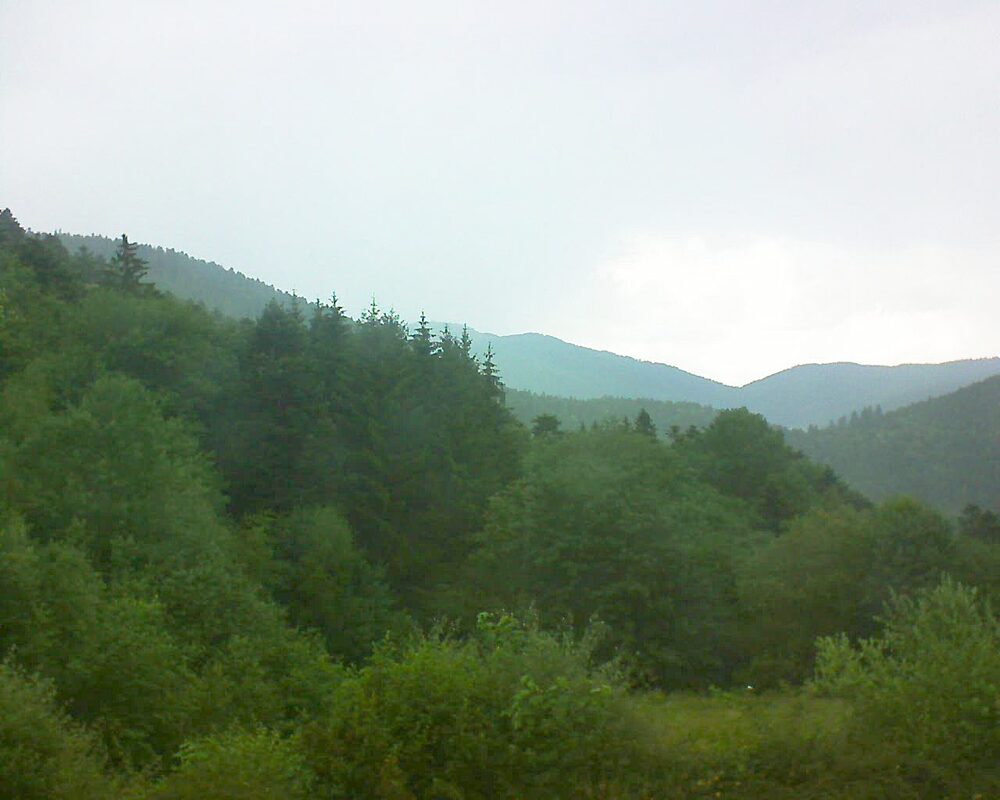 Le petit ballon (Alsace, Vosges) le 21.06.2026 à 16:30