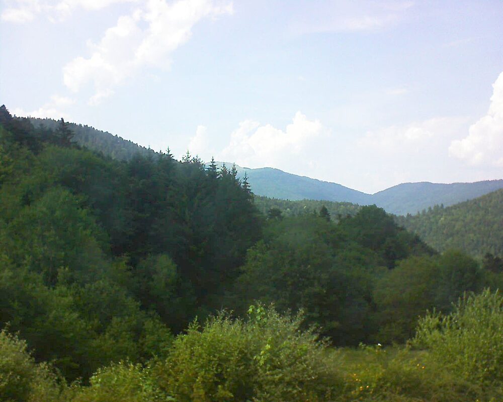 Le petit ballon (Alsace, Vosges) le 22.06.2026 à 16:30