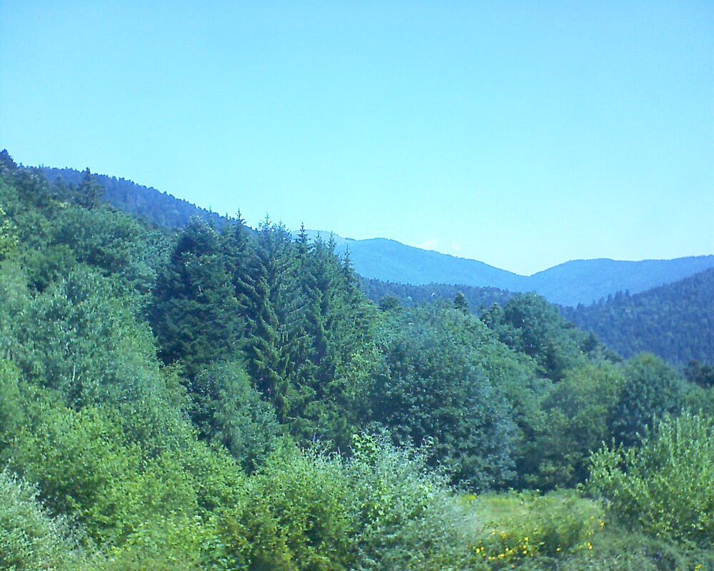 Le petit ballon (Alsace, Vosges) le 24.06.2026 à 11:30