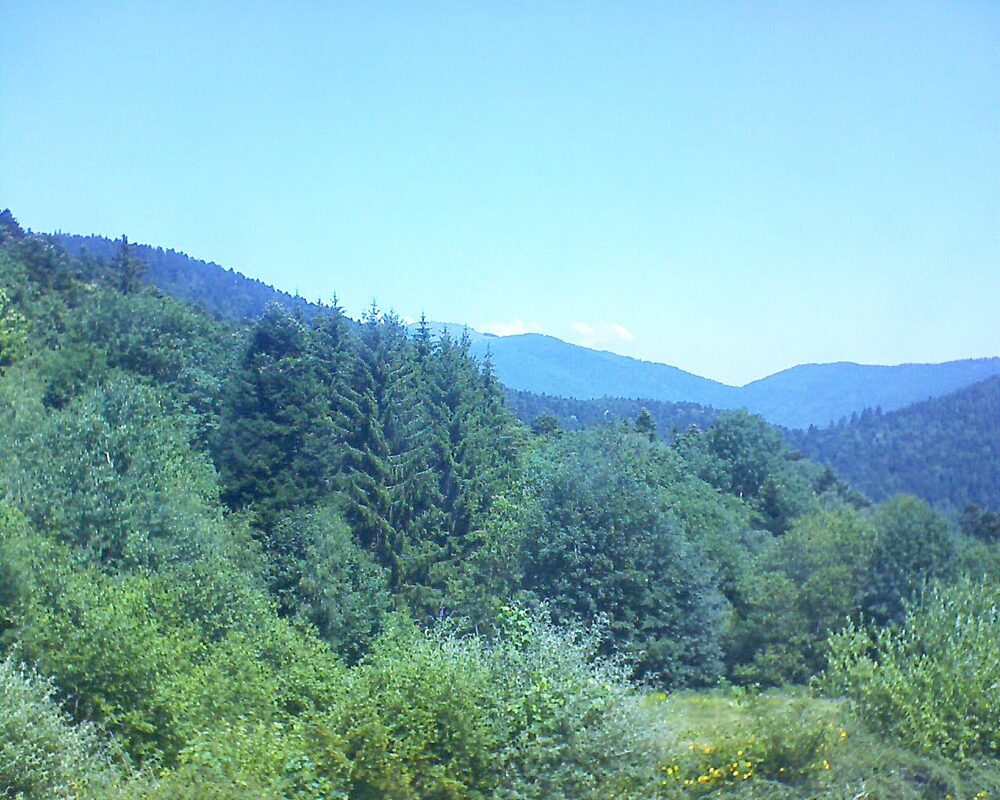 Le petit ballon (Alsace, Vosges) le 24.06.2026 à 12:30