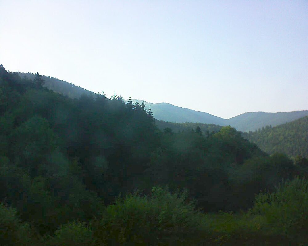 Le petit ballon (Alsace, Vosges) le 25.06.2026 à 19:15