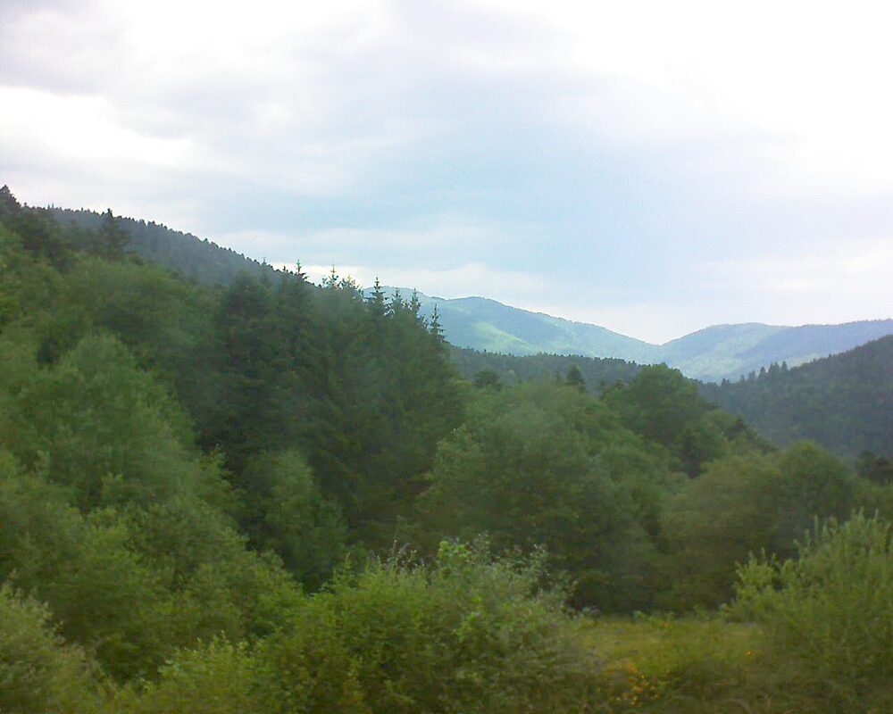 Le petit ballon (Alsace, Vosges) le 28.06.2026 à 12:30