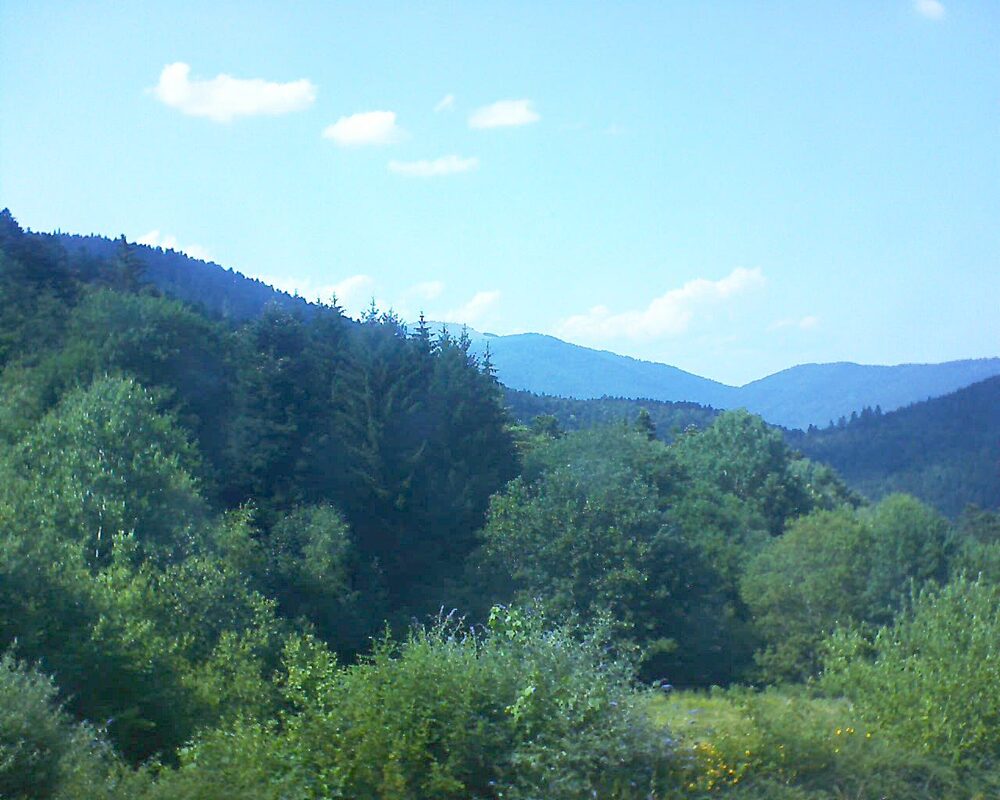 Le petit ballon (Alsace, Vosges) le 28.06.2026 à 16:30