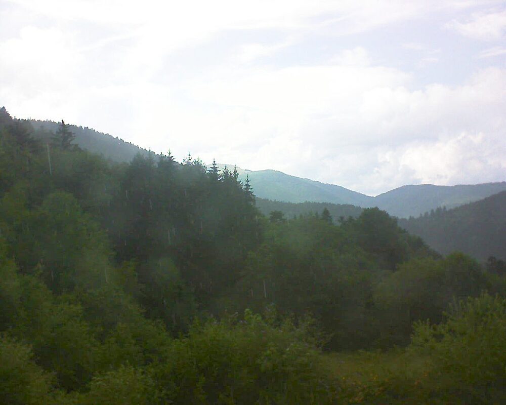 Le petit ballon (Alsace, Vosges) le 29.06.2026 à 16:30