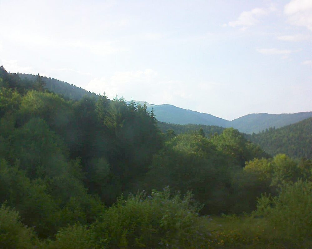Le petit ballon (Alsace, Vosges) le 30.06.2026 à 19:00