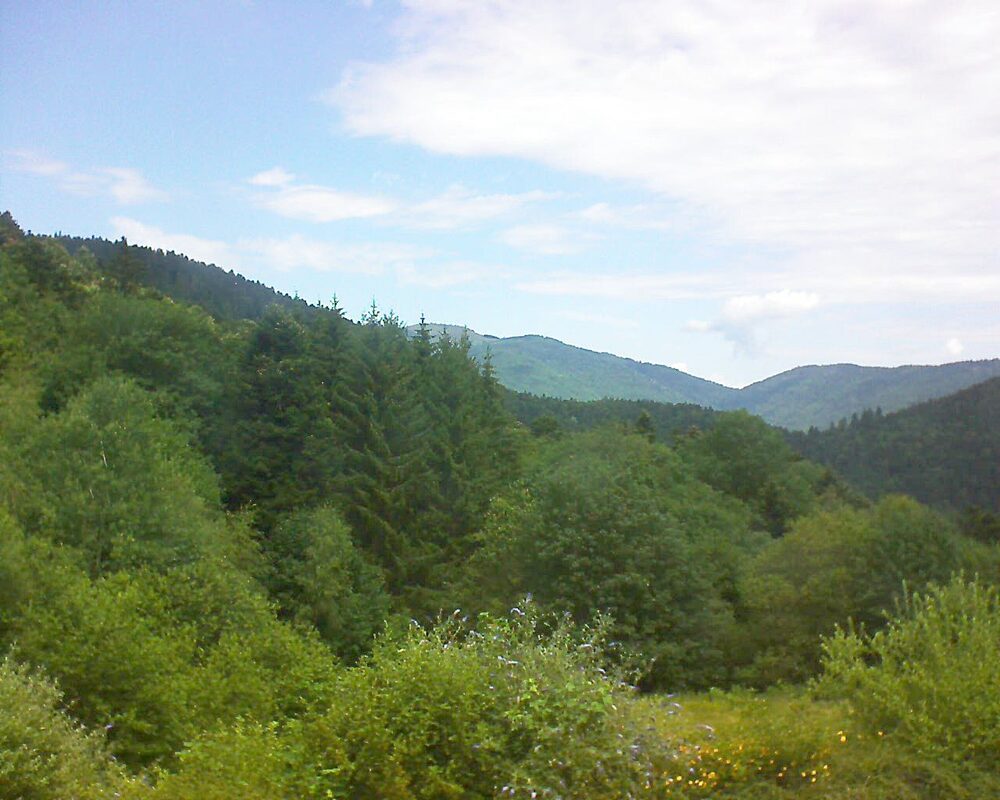 Le petit ballon vu depuis le Domaine Langmatt à Murbach le 01.07.2026 à 12:30 Le petit ballon (Alsace, Vosges) le 01.07.2026 à 12:30
