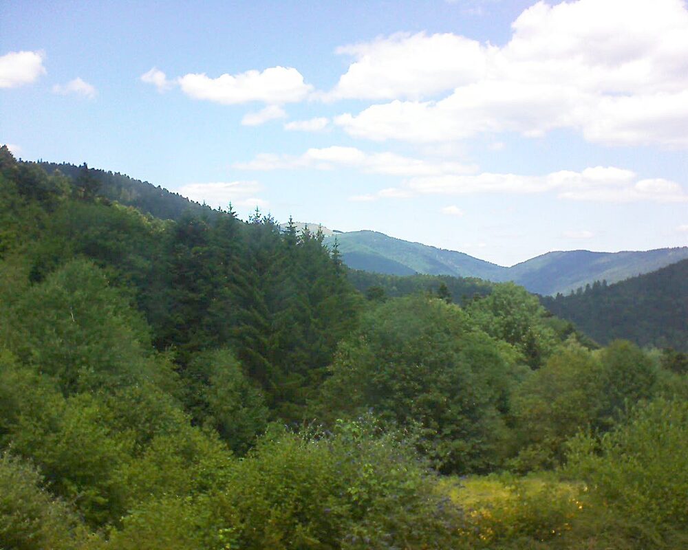 Le petit ballon vu depuis le Domaine Langmatt à Murbach le 02.07.2026 à 13:30 Le petit ballon (Alsace, Vosges) le 02.07.2026 à 13:30