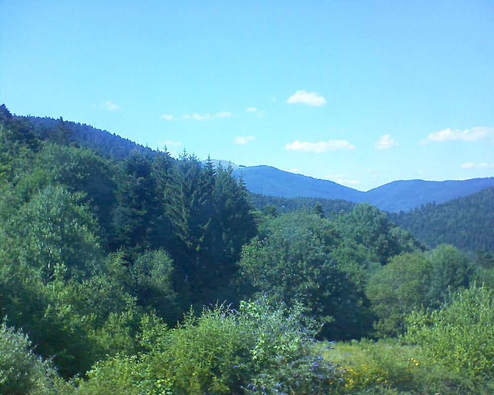 Le petit ballon (Alsace, Vosges) le 02.07.2026 à 16:30
