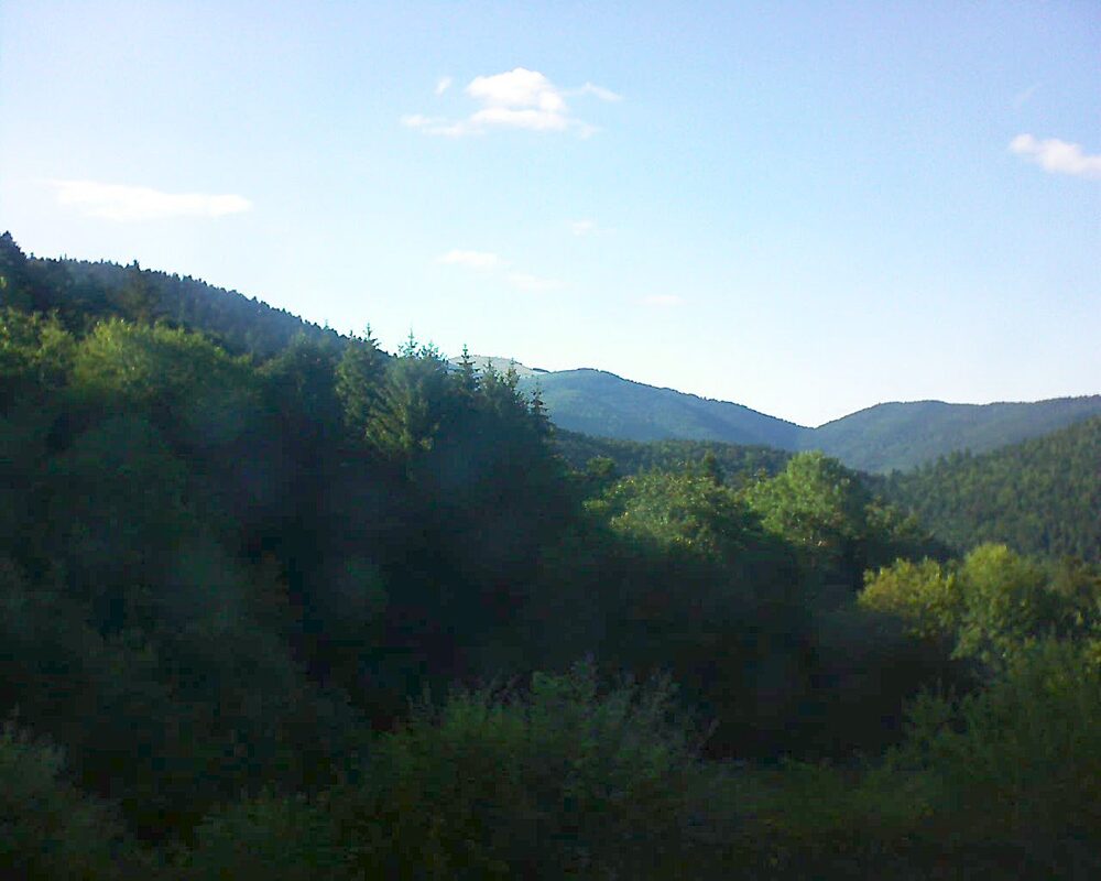 Le petit ballon vu depuis le Domaine Langmatt à Murbach le 02.07.2026 à 19:00 Le petit ballon (Alsace, Vosges) le 02.07.2026 à 19:00