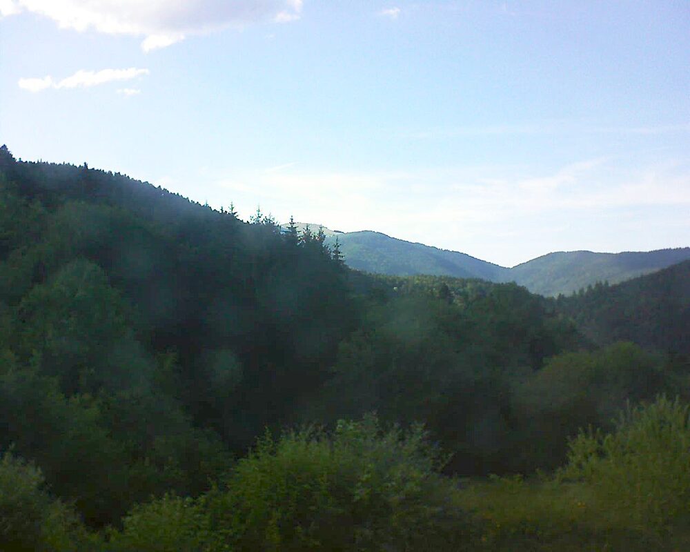 Le petit ballon (Alsace, Vosges) le 03.07.2026 à 18:45