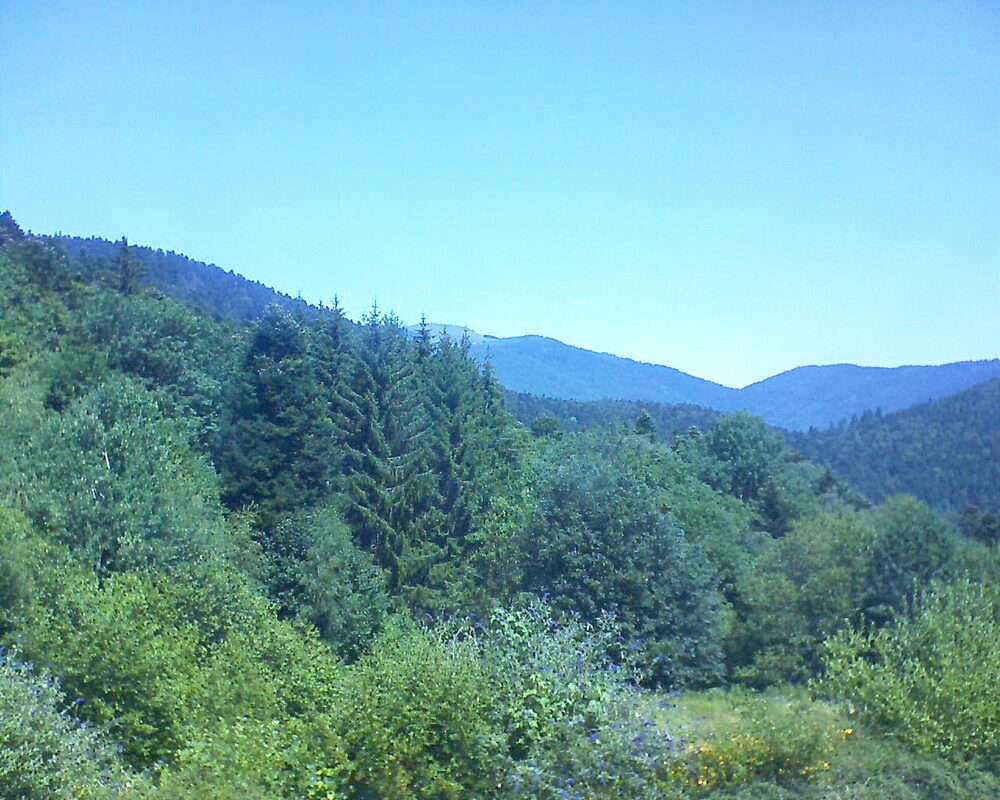 Le petit ballon vu depuis le Domaine Langmatt à Murbach le 04.07.2026 à 12:30 Le petit ballon (Alsace, Vosges) le 04.07.2026 à 12:30