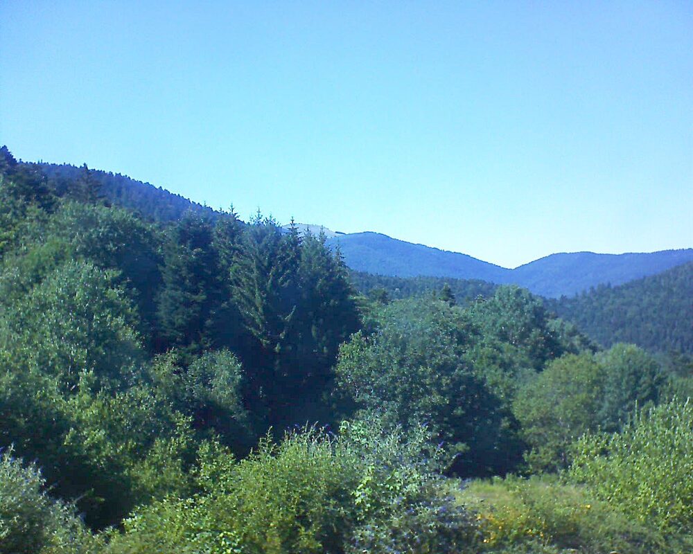 Le petit ballon (Alsace, Vosges) le 04.07.2026 à 16:30