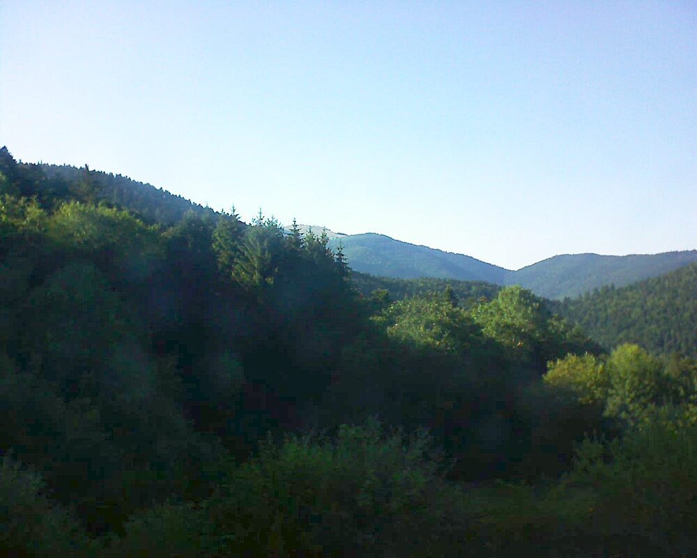 Le petit ballon (Alsace, Vosges) le 04.07.2026 à 19:00