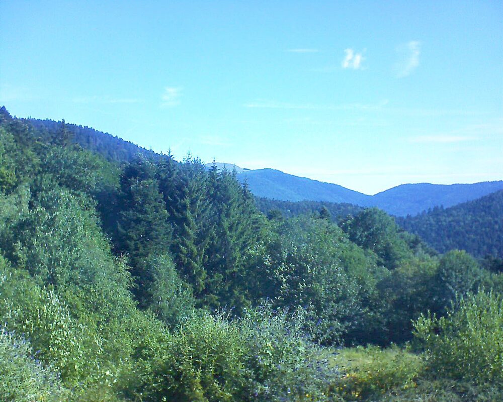 Le petit ballon (Alsace, Vosges) le 05.07.2026 à 09:30