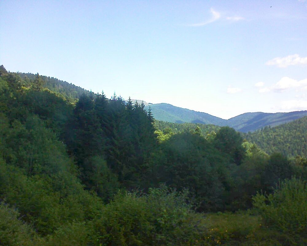 Le petit ballon (Alsace, Vosges) le 05.07.2026 à 11:30