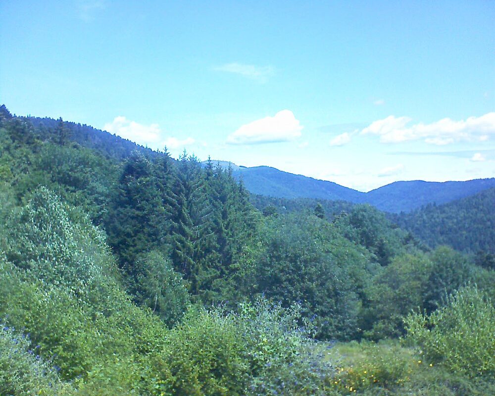 Le petit ballon (Alsace, Vosges) le 05.07.2026 à 12:15