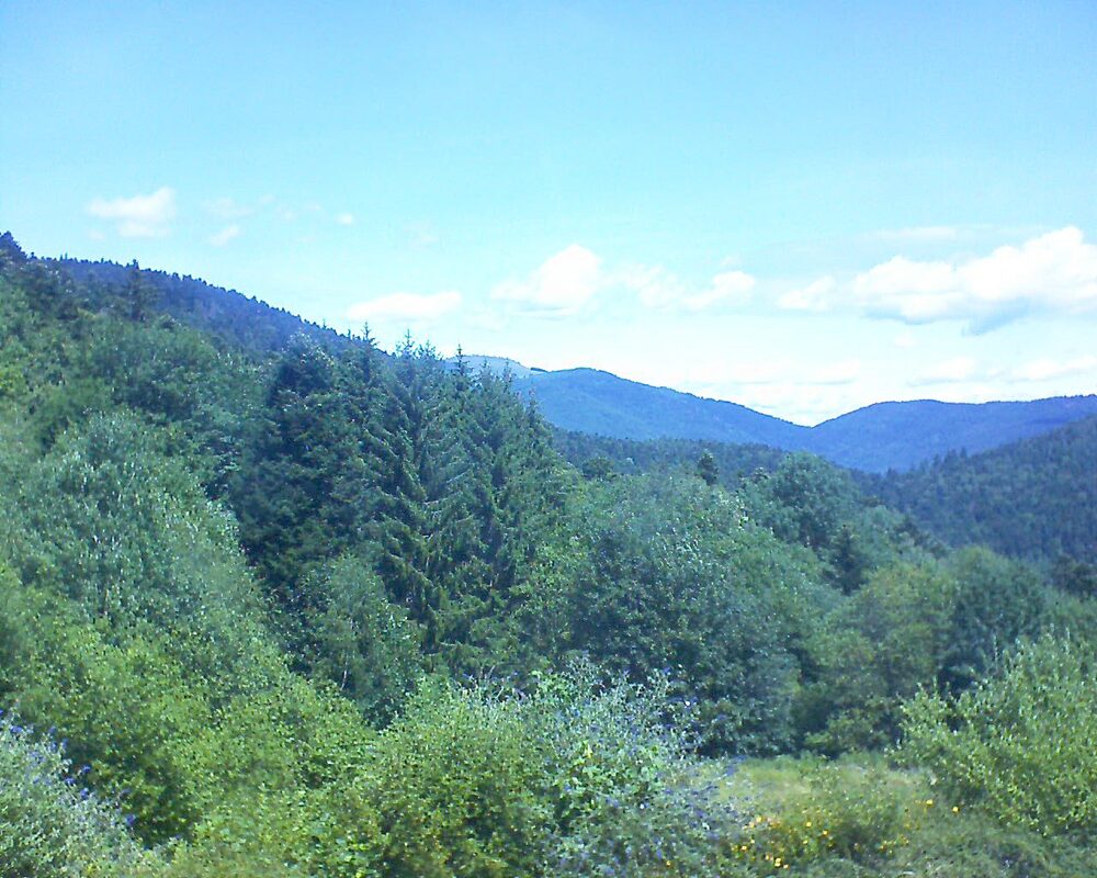 Le petit ballon (Alsace, Vosges) le 05.07.2026 à 12:30