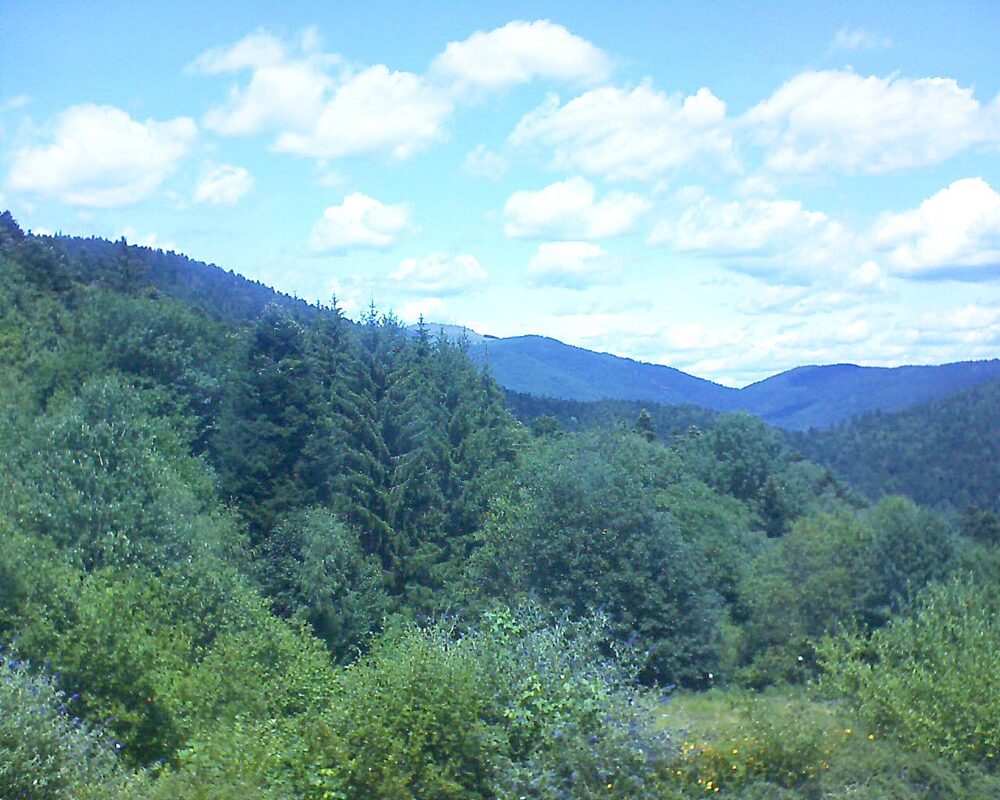 Le petit ballon vu depuis le Domaine Langmatt à Murbach le 05.07.2026 à 13:30 Le petit ballon (Alsace, Vosges) le 05.07.2026 à 13:30