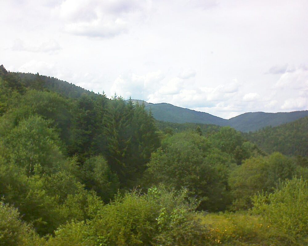 Le petit ballon (Alsace, Vosges) le 05.07.2026 à 16:15
