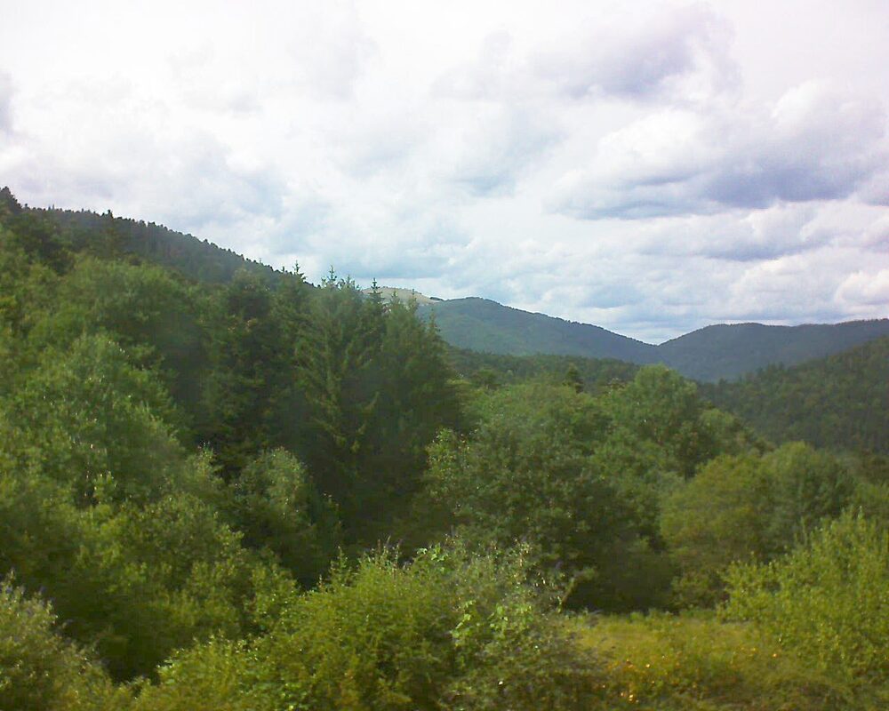 Le petit ballon (Alsace, Vosges) le 05.07.2026 à 16:30