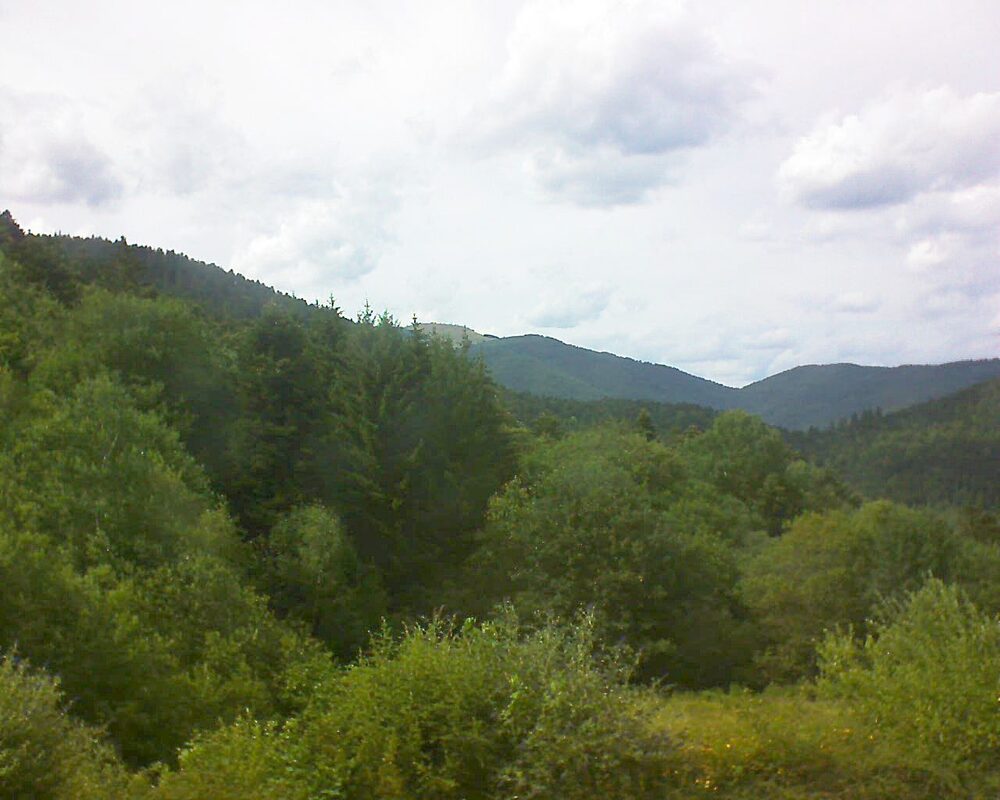 Le petit ballon (Alsace, Vosges) le 05.07.2026 à 16:45