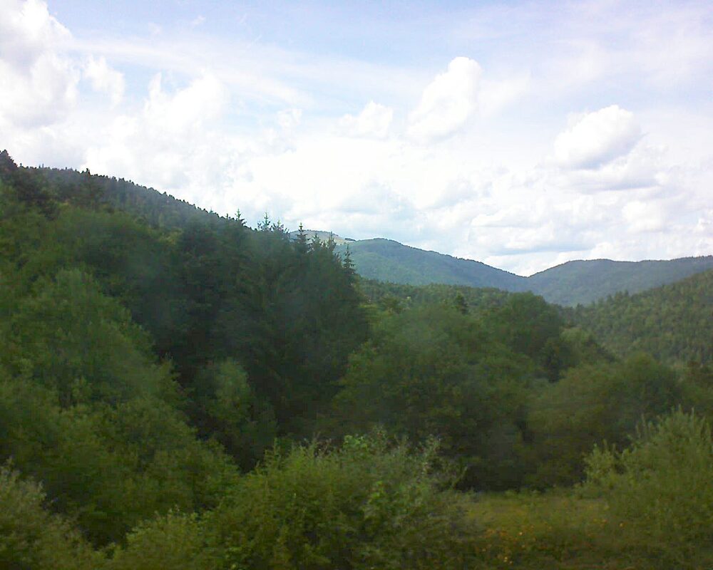 Le petit ballon (Alsace, Vosges) le 05.07.2026 à 17:30