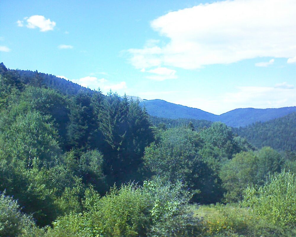 Le petit ballon (Alsace, Vosges) le 06.07.2026 à 16:30