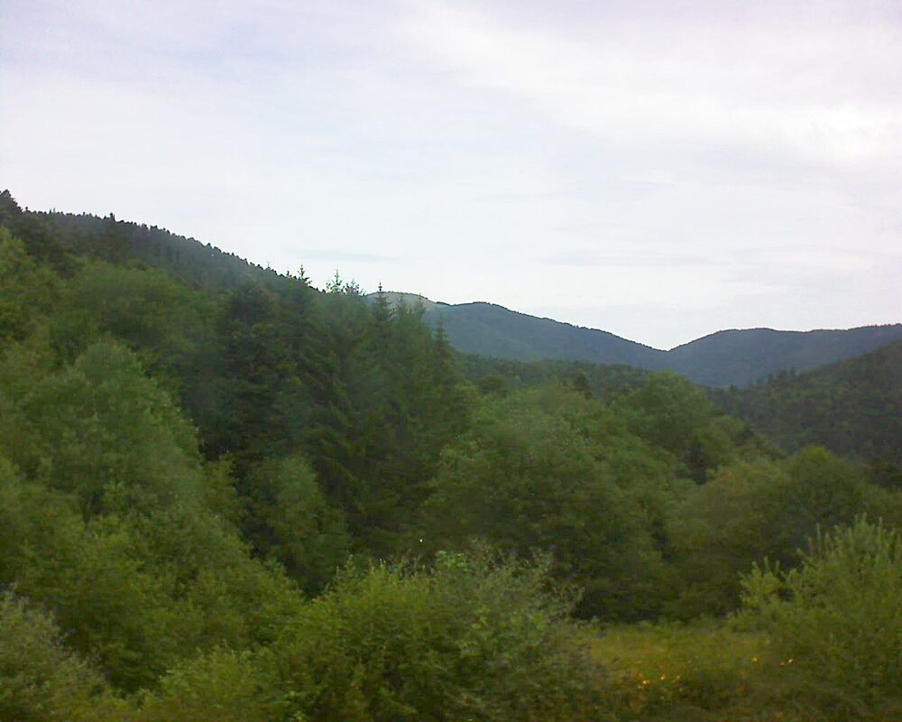 Le petit ballon (Alsace, Vosges) le 07.07.2026 à 12:30