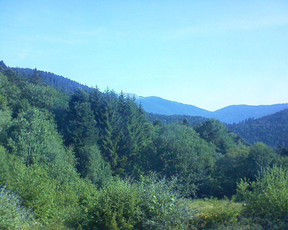 Le petit ballon vu depuis le Domaine Langmatt à Murbach le 08.07.2026 à 09:15 Le petit ballon (Alsace, Vosges) le 08.07.2026 à 09:15
