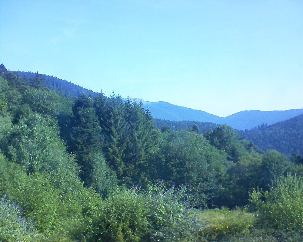 Le petit ballon (Alsace, Vosges) le 08.07.2026 à 09:30