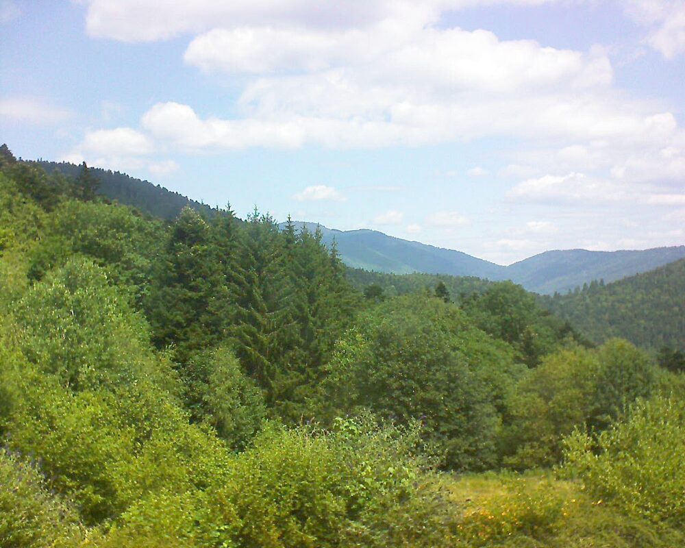 Le petit ballon (Alsace, Vosges) le 08.07.2026 à 12:30