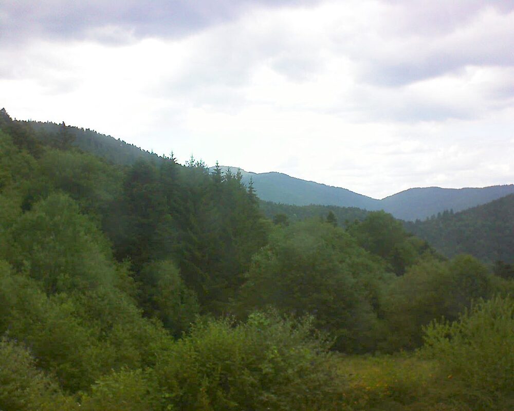 Le petit ballon (Alsace, Vosges) le 08.07.2026 à 16:30
