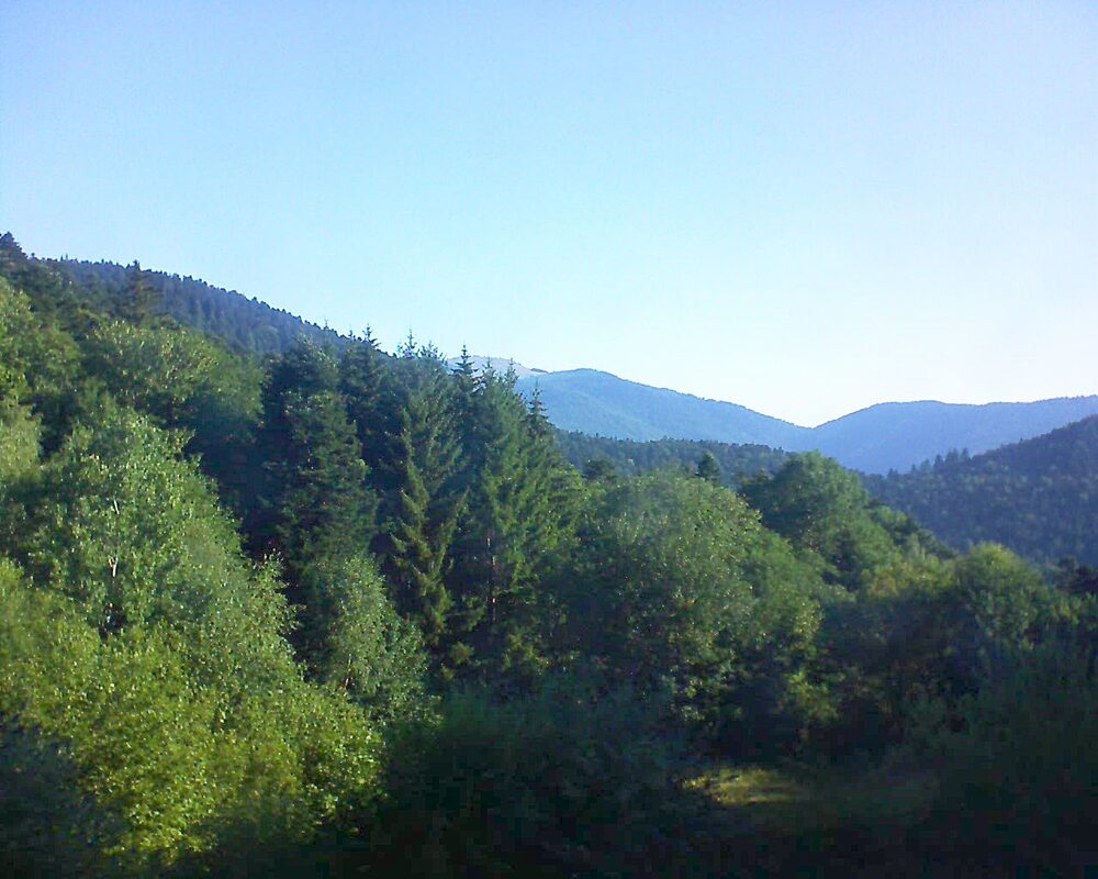Le petit ballon (Alsace, Vosges) le 09.07.2026 à 08:15