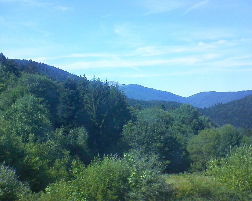 Le petit ballon (Alsace, Vosges) le 12.07.2026 à 16:30