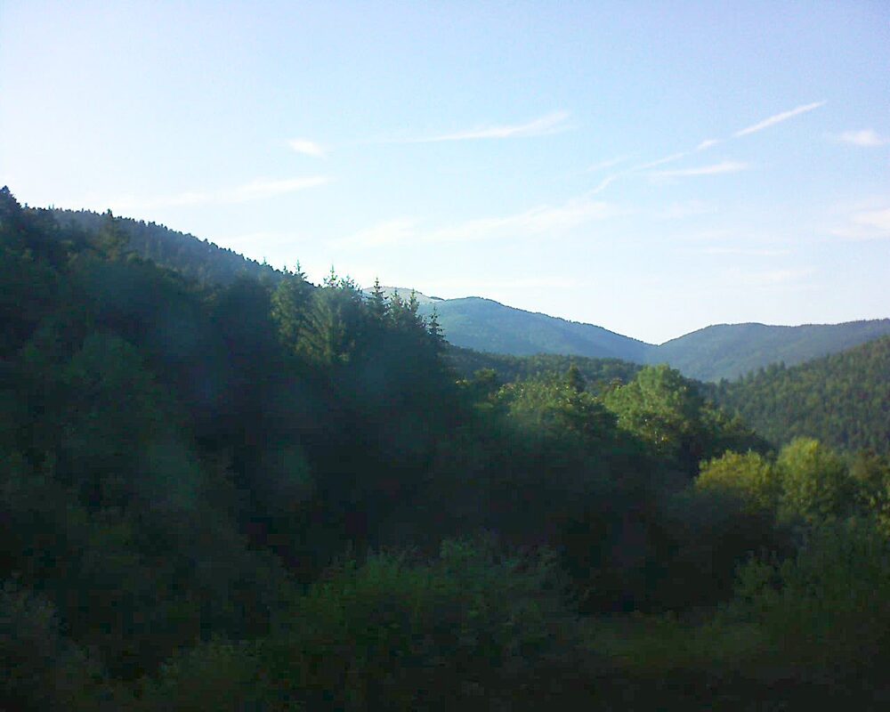 Le petit ballon (Alsace, Vosges) le 12.07.2026 à 19:00