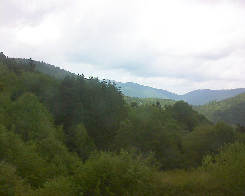 Le petit ballon (Alsace, Vosges) le 19.07.2026 à 12:30