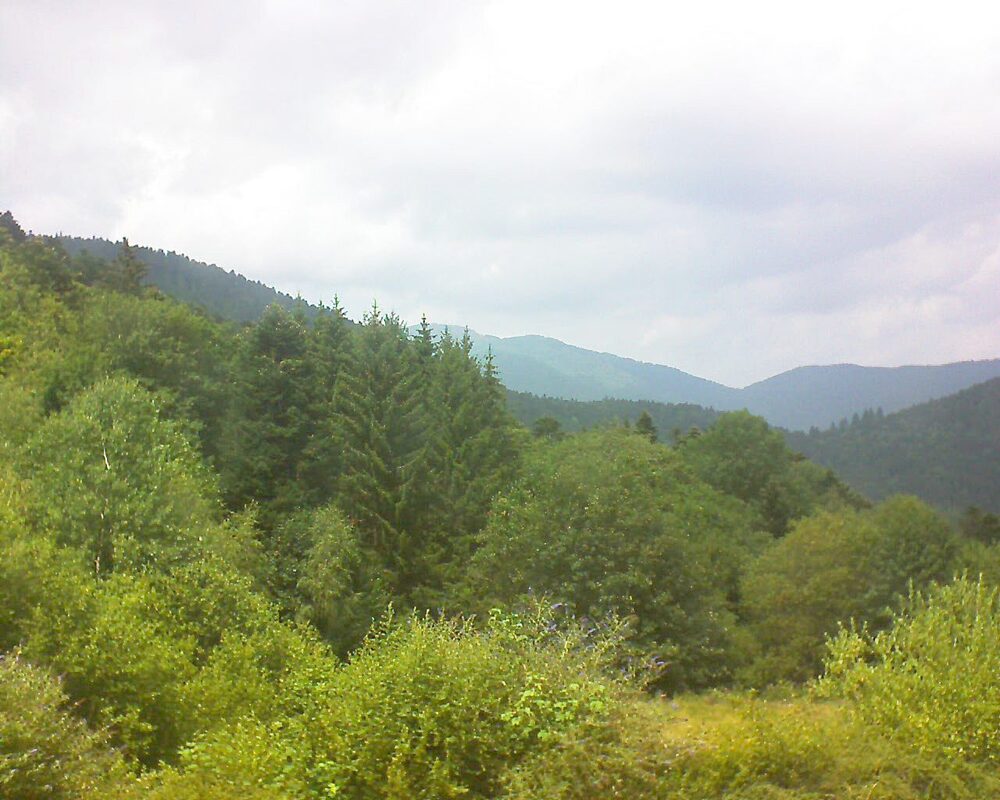Le petit ballon (Alsace, Vosges) le 19.07.2026 à 14:30