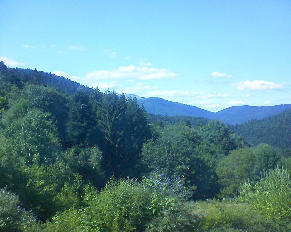 Le petit ballon (Alsace, Vosges) le 21.07.2026 à 16:30