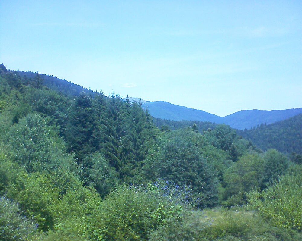 Le petit ballon (Alsace, Vosges) le 22.07.2026 à 13:30