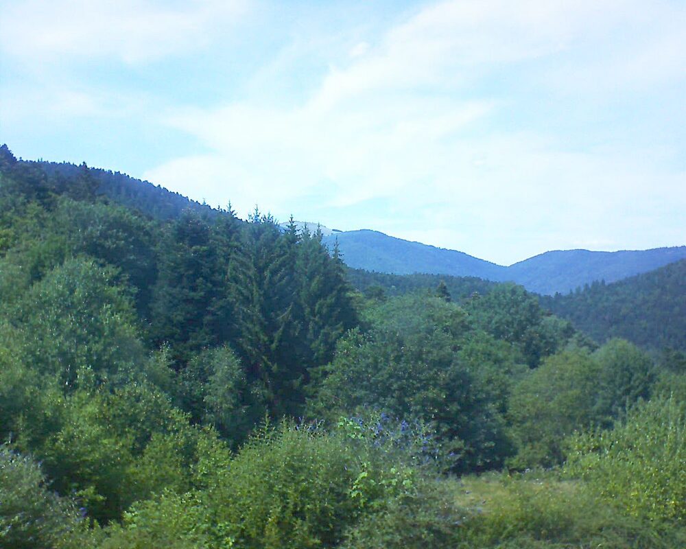 Le petit ballon (Alsace, Vosges) le 22.07.2026 à 15:30