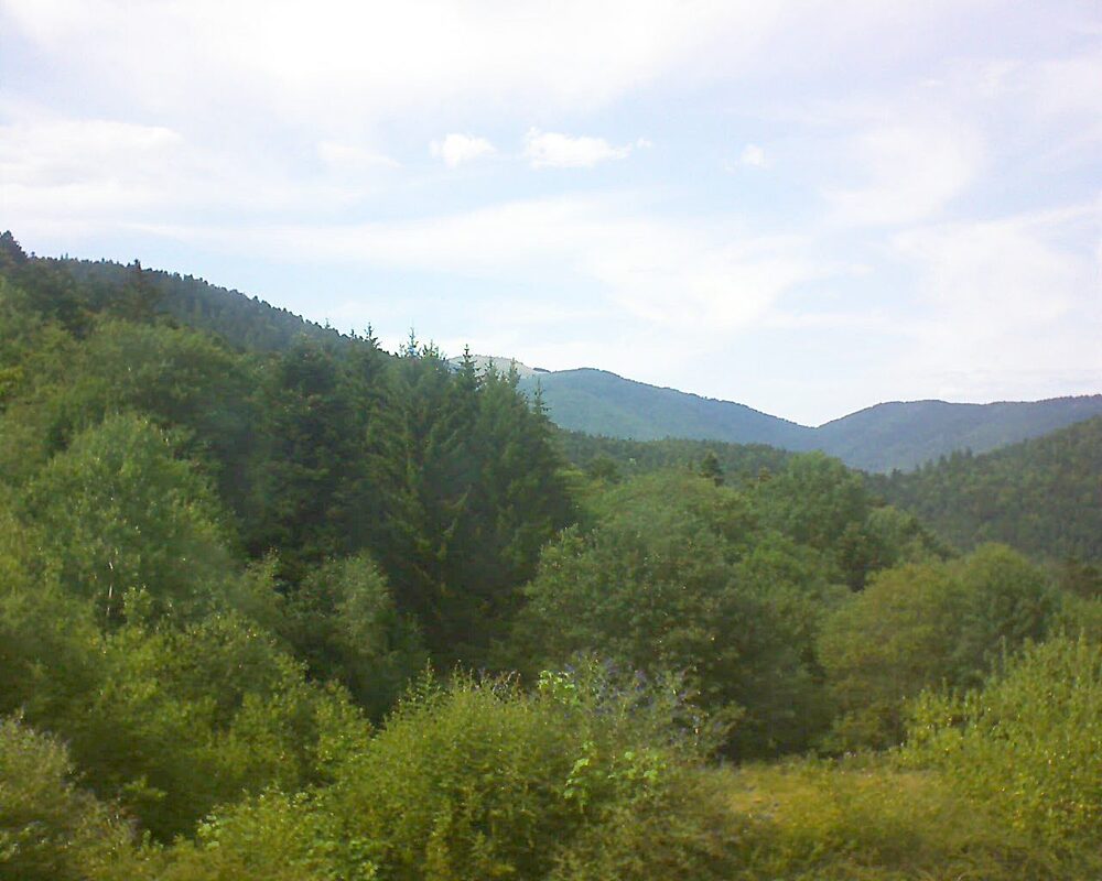Le petit ballon (Alsace, Vosges) le 22.07.2026 à 16:15