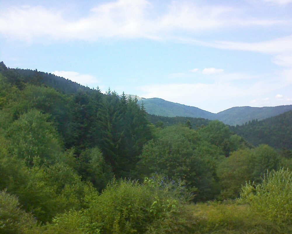Le petit ballon vu depuis le Domaine Langmatt à Murbach le 22.07.2026 à 16:30 Le petit ballon (Alsace, Vosges) le 22.07.2026 à 16:30