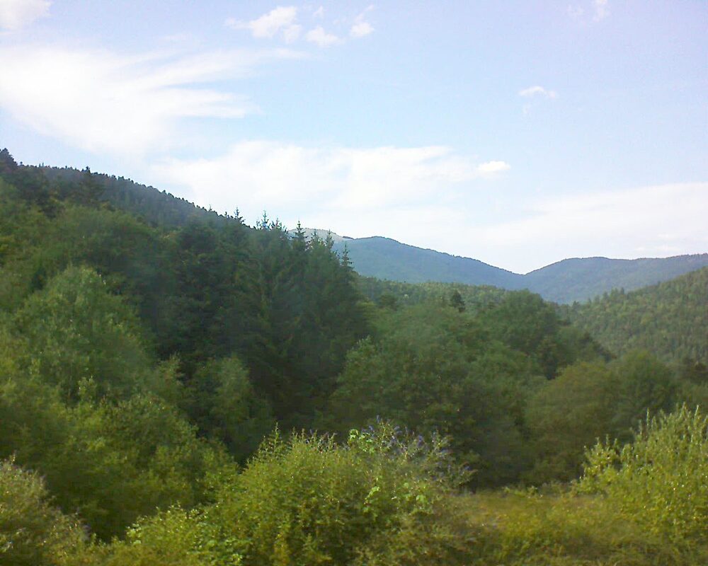 Le petit ballon (Alsace, Vosges) le 22.07.2026 à 16:45