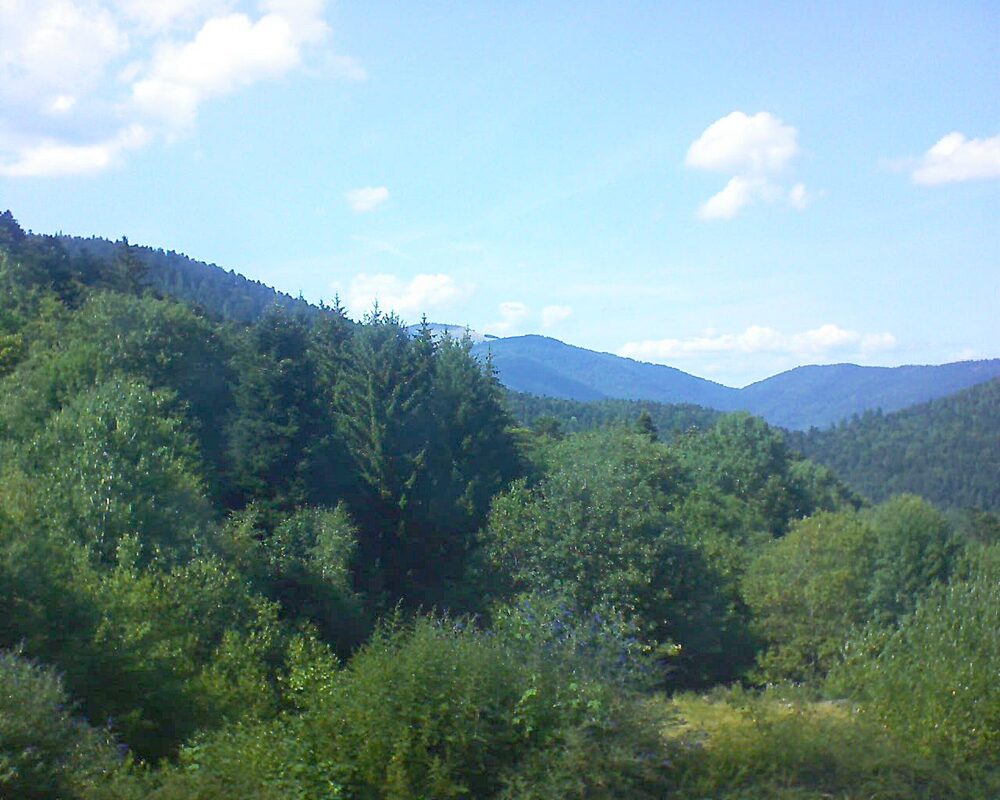 Le petit ballon (Alsace, Vosges) le 23.07.2026 à 16:30