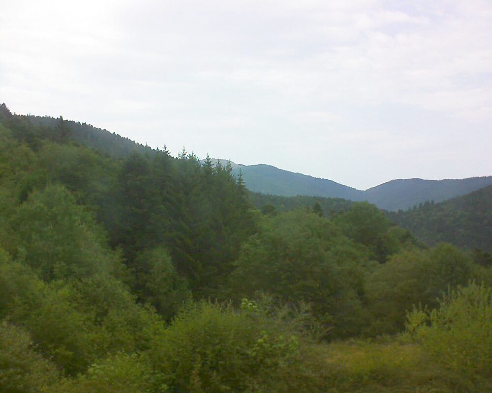 Le petit ballon (Alsace, Vosges) le 25.07.2026 à 16:30