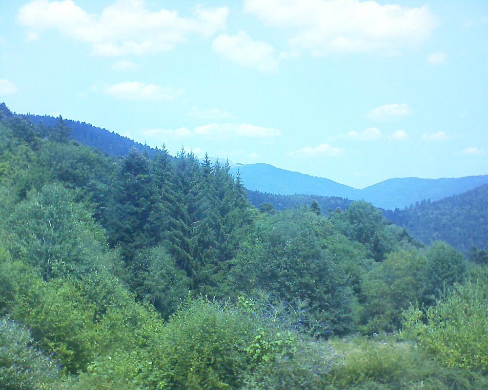 Le petit ballon (Alsace, Vosges) le 26.07.2026 à 13:30